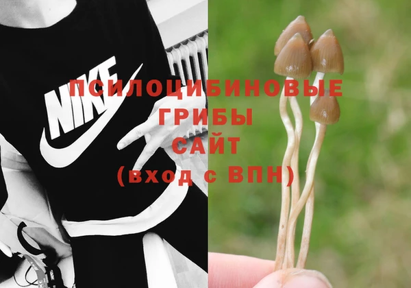 соль курить ск Верея