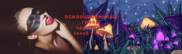 2c-b Верхний Тагил