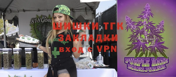 2c-b Верхний Тагил