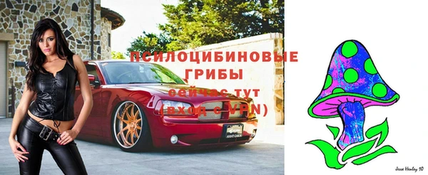 2c-b Верхний Тагил