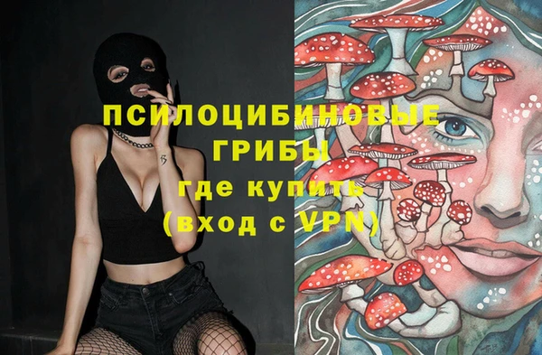 соль курить ск Верея