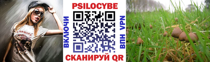Псилоцибиновые грибы MAGIC MUSHROOMS  Купить где  Верхний Уфалей 